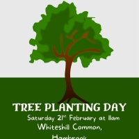 Tree Planting Day at Whiteshill Common